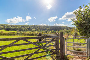 Photo 36- click for photo gallery